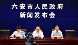 六安媒体爆料新闻事件,揭秘背后惊人真相